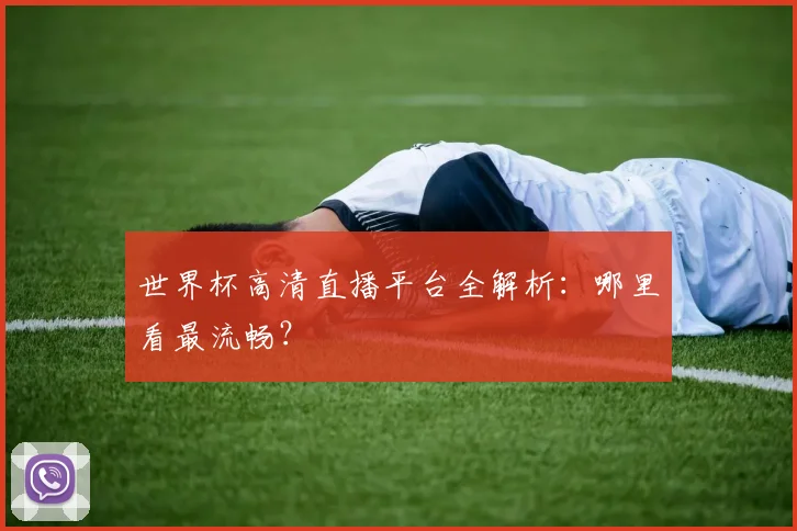 世界杯高清直播平台全解析:哪里看最流畅?