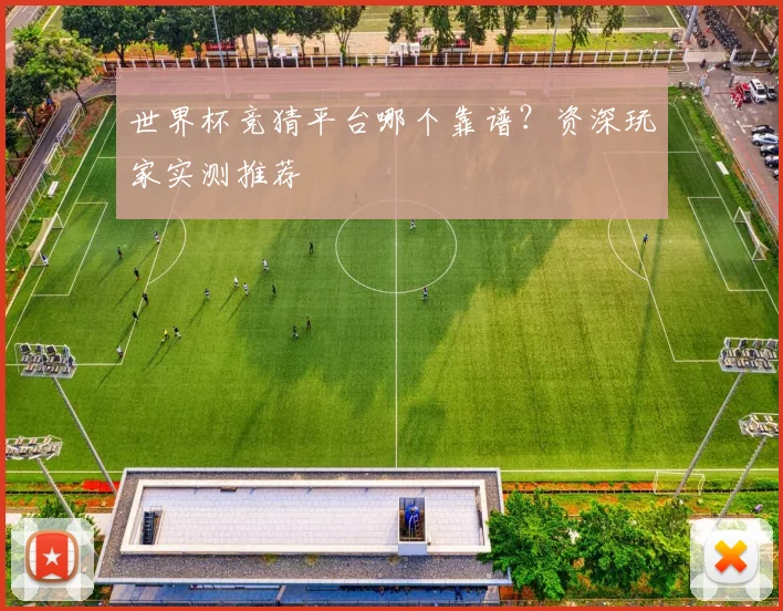 世界杯竞猜平台哪个靠谱？资深玩家实测推荐