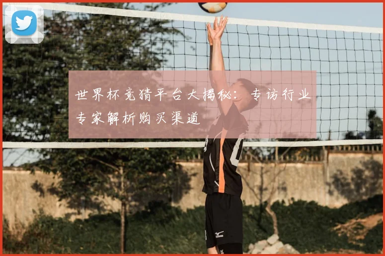 世界杯竞猜平台大揭秘：专访行业专家解析购买渠道