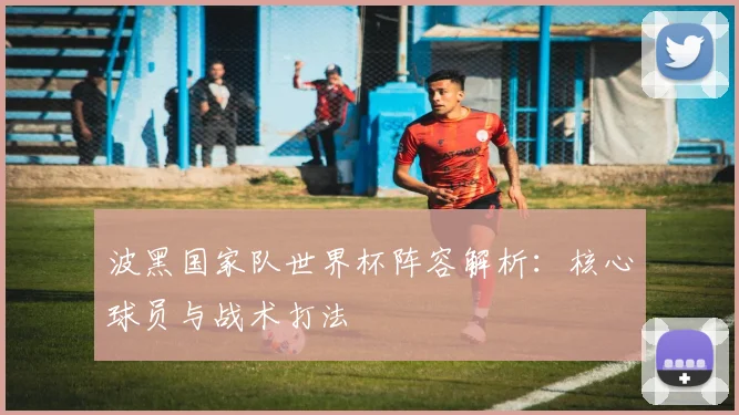 波黑国家队世界杯阵容解析：核心球员与战术打法