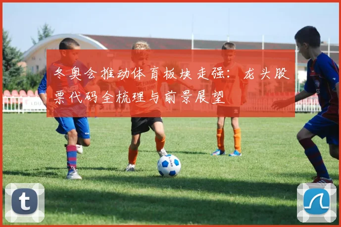 冬奥会推动体育板块走强：龙头股票代码全梳理与前景展望